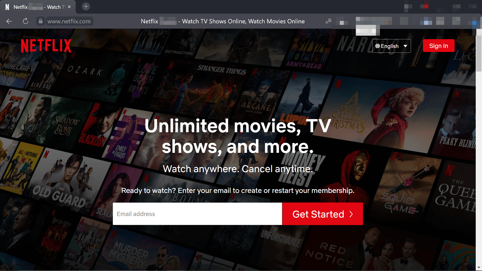 Netflix as an example of a store of digital products